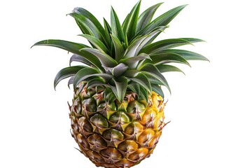 Fototapeta premium pineapple