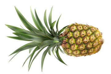 Fototapeta premium pineapple