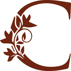 Beautiful flower art and mandala vector design