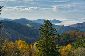 Schwarzwaldlandschaft bei St. Ulrich oberhalb von Freiburg