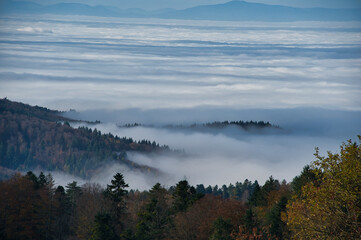 Schwarzwaldlandschaft bei St. Ulrich oberhalb von Freiburg