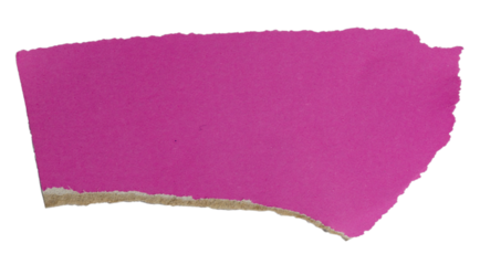 Isolated torn purple pieces of semi-matte paper with copy space on white background