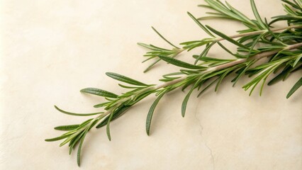 Fresh Rosemary Sprigs Arranged on a Light Tan Background