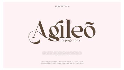 Premium luxury elegant alphabet letters and numbers. Elegant Tech typography classic serif font decorative vintage retro. Creative vector illustration