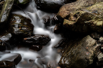 Fototapeta premium 森を流れる美しい川の流れ