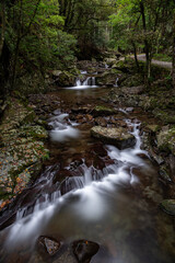 森を流れる美しい川の流れ