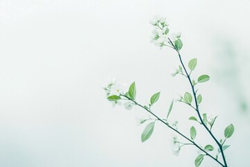 Soft Gradient Minimalist Background with Delicate Leaves