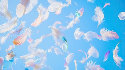 A shower of delicate, iridescent feathers falling gracefully in the morning light, set against a vivid, cloudless sky.