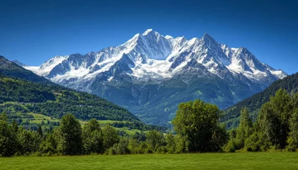 Fotobehang Scenic view of snow capped mountains in the french alps surrounded by lush green forests in summer © Daria