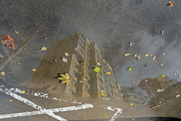 There is a puddle on the asphalt and autumn leaves in the city