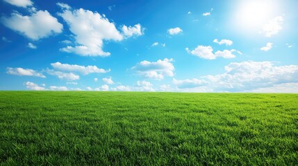 Naklejka premium Expansive Green Meadow Under a Bright Blue Sky with Fluffy White Clouds Illuminated by the Sun, Capturing the Essence of Tranquil Nature and Open Spaces