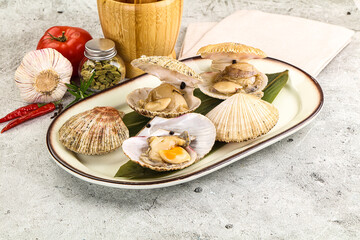 Raw fresh scallops in the shell
