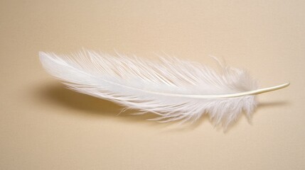 Obraz premium Delicate White Feather Gracefully Positioned on a Soft Beige Background, Perfect for Nature-Themed Projects, Mental Wellness Designs, or Minimalistic Artwork Creatives
