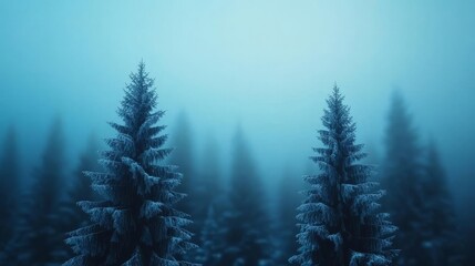 Fototapeta premium Frosty morning forest with ambient blue light, cold fog rising, serene winter detail