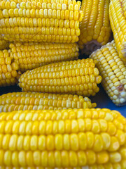 boiled corn on the tray