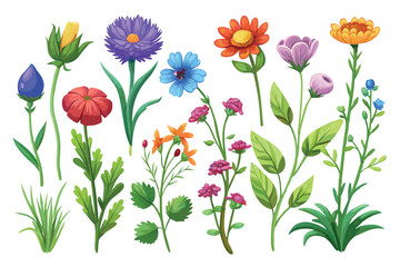 Collection of wildflowers, set, clipart, design game asset sprite sheet, aquarelle illustration, of hand drawn plants, leaves, flowers. Silhouettes of natural elements for seasonal backgrounds, and ve