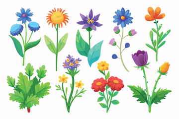 Collection of wildflowers, set, clipart, design game asset sprite sheet, aquarelle illustration, of hand drawn plants, leaves, flowers. Silhouettes of natural elements for seasonal backgrounds, and ve