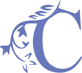 English Alphabet Beautiful Icon and Colorful Design