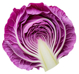 Obraz premium Close-up of a halved purple cabbage, revealing its intricate layers and vibrant colors.