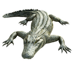 Fototapeta premium Alligator Reptile Animal Predator Wildlife Dangerous Fearsome Snaggletooth Sharp Teet on transparent background