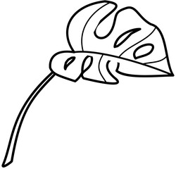 Monstera element Doodle element coloring page cartoon Illustration

