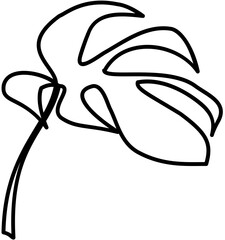 Monstera element Doodle element coloring page cartoon Illustration
