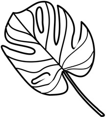 Monstera element Doodle element coloring page cartoon Illustration
