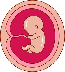 Human embryonic development illustration 