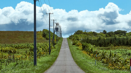 Countryside Road with Blue Sky and Clouds in Hokkaido