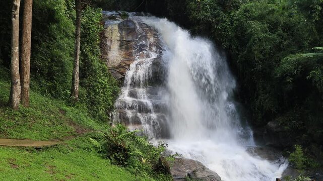 nature video background of water flowing through rocks, natural waterfalls in the middle of the forest, with a cool, blurry breeze, the abundance of forests and ecosystems.