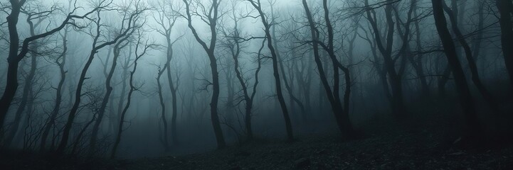 Obraz premium Eerie fog settles over a dark and twisted forest, creating a mysterious and haunting atmosphere, trees, gloomy