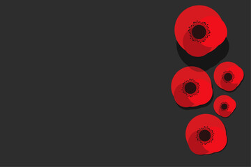 poppy. poppy flower on black background with space for text. vector
