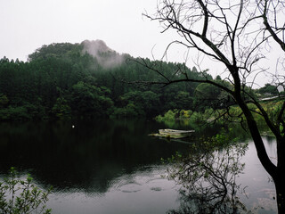 Scenic View of an Unknown Lake with a Single Boat, Surrounded by Trees, Japan