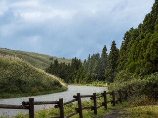 Fototapeta premium Scenic View of Roads Among Mountains and Pine Trees, Aso, Kumamoto, Japan.