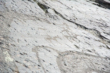 Central asian one of the most amazing rock carving petroglyphs in Altai mouintains, Western Mongolia
