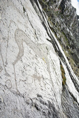 Central asian one of the most amazing rock carving petroglyphs in Altai mouintains, Western Mongolia