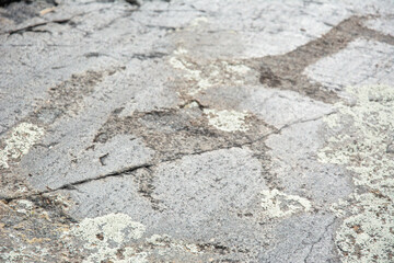 Central asian one of the most amazing rock carving petroglyphs in Altai mouintains, Western Mongolia