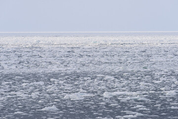 北海道　知床の海岸の流氷