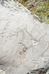 Central asian one of the most amazing rock carving petroglyphs in Altai mouintains, Western Mongolia