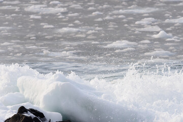 北海道　知床の海岸の流氷 © 望 土岐