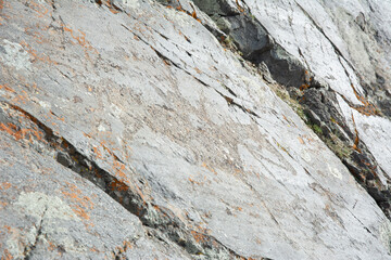 Central asian one of the most amazing rock carving petroglyphs in Altai mouintains, Western Mongolia