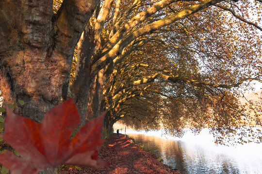 Herbststimmung am See