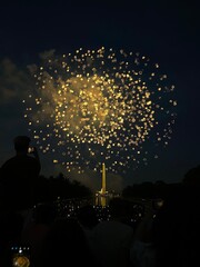 Fireworks in the City