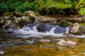 Obraz premium River flowing over moss covered rocks in Mourne Park County Down Northern Ireland