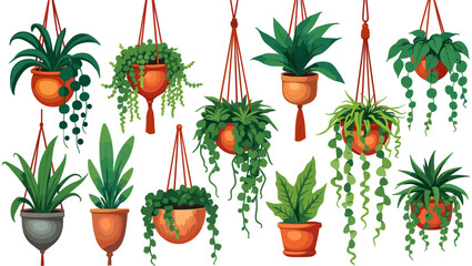 Fototapeta premium Set of macrame hangers for plants growing in pots. Bundle of hanging planters made of cotton cord, beautiful handmade home decorations isolated on white background. Cartoon flat vector illustration.