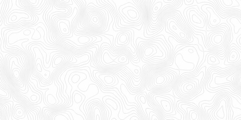 Obraz premium Contour abstract map relief land outline. Topographic map patterns. White wave paper curved reliefs abstract background. Background of the topography map. Abstract pattern with lines.