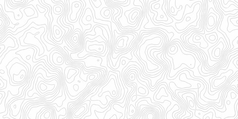 Contour abstract map relief land outline. Topographic map patterns. White wave paper curved reliefs abstract background. Background of the topography map. Abstract pattern with lines.