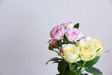 黄色とピンクのばら