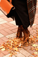 partial image: bag, black dress, plaid coat, leopard boots in foliage. Close-up
