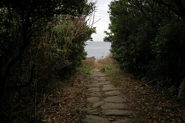 森を抜けた先の海岸へ